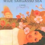 WIDE SARGASSO SEA: دریای وسیع سارگاسو (زبان اصلی، انگلیسی)