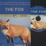 THE FOX: داستان روباه، المنتری 2، همراه با سی دی...