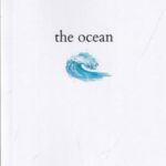 The ocean: اقیانوس