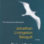 Jonathan livingsston seagull جاناتان مرغ دریایی