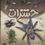 کتاب برجسته حشرات (حقایق جالب و تصاویر سه بعدی...