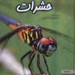 دنیای هیجان انگیز حشرات (دانش نامه نوجوان ۱)