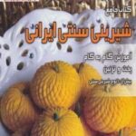 کتاب جامع شیرینی سنتی ایرانی (رنگین سفره)، (آموزش...