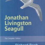 جاناتان مرغ دریایی jonathan livingsston seagull