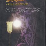 سیری در شعر فارسی